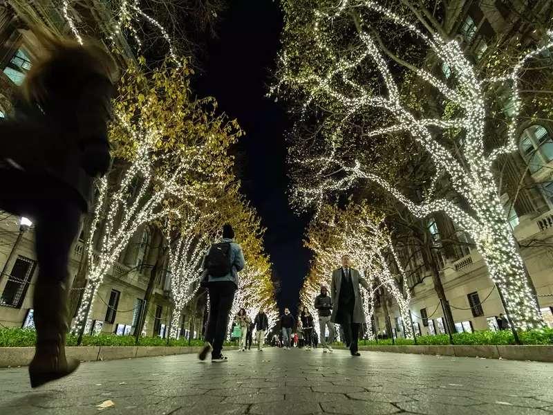 Lighted trees along a paved path on Columbia's campus at night